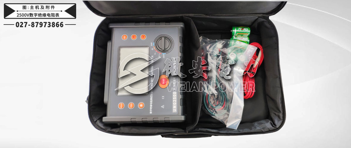 2500V數(shù)字絕緣電阻表主機(jī)及附件