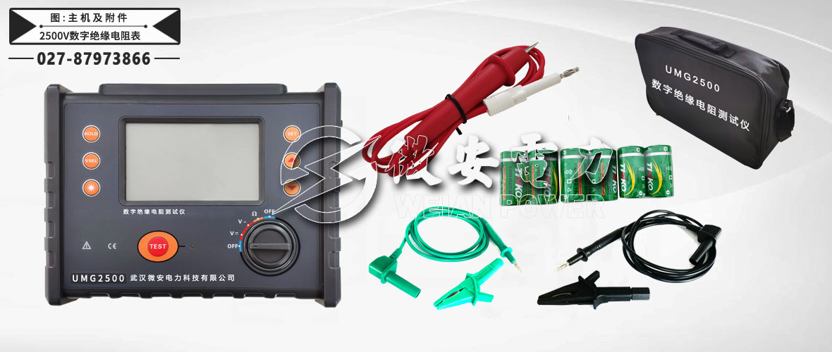 2500V數(shù)字絕緣電阻表