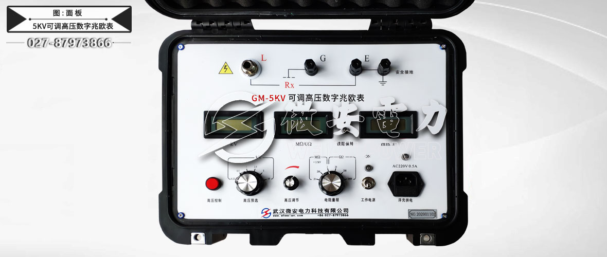 5KV可調(diào)高壓數(shù)字兆歐表面板