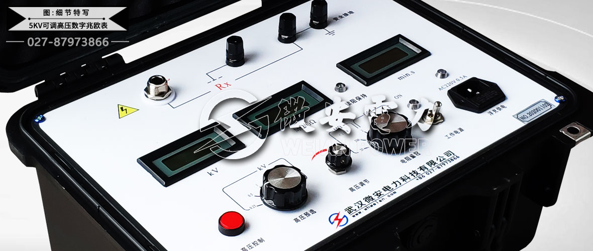 5KV可調(diào)高壓數(shù)字兆歐表細(xì)節(jié)特寫