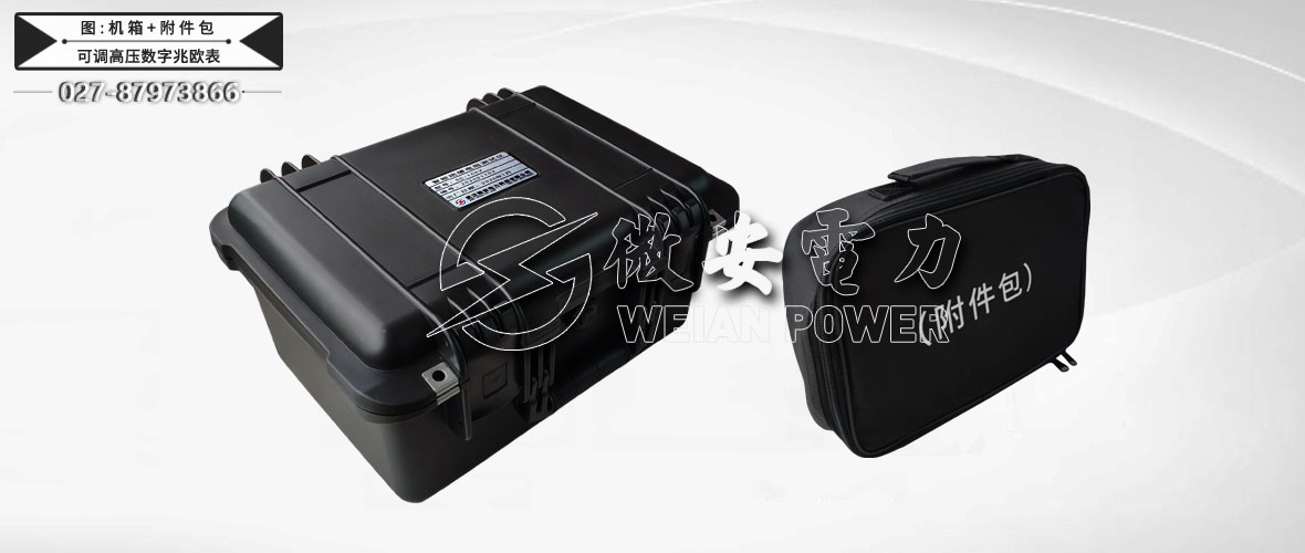 5KV可調(diào)高壓數(shù)字兆歐表機(jī)箱附件包