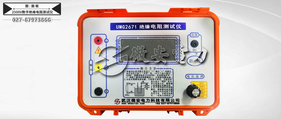 2500V數(shù)字絕緣電阻測試儀主機(jī)/附件