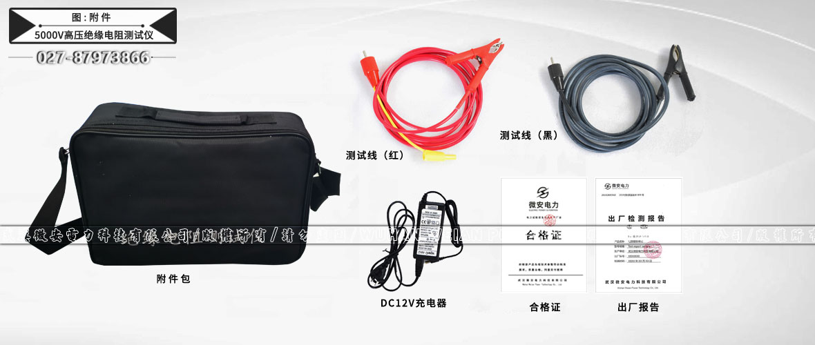 2500V數(shù)字絕緣電阻測試儀附件